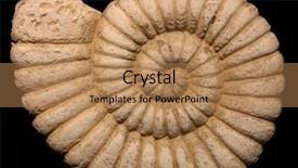  Presentation with fibonacci - Presentation having fibonacci - ammonite nautilus shell on black background and a coral colored foreground