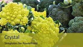 Presentation with cauliflower - Colorful presentation design enhanced with fibonacci - cauliflower romanesco and broccoli backdrop and a gold colored foreground