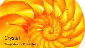  Presentation with shell - Slides with fibonacci - detailed photo of a golden background and a light gray colored foreground
