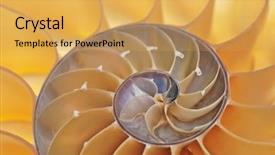  Presentation with fibonacci - Beautiful slide set featuring fibonacci - detailed photo of a halved backdrop and a yellow colored foreground