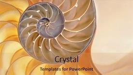  Presentation with fibonacci - PPT theme having fibonacci - detailed photo of a halved background and a yellow colored foreground