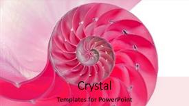  Presentation with fibonacci - Colorful slides enhanced with fibonacci - detailed photo of a halved backdrop and a red colored foreground