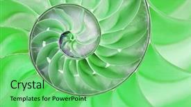  Presentation with fibonacci - Presentation design consisting of fibonacci - detailed photo of a halved background and a seafoam green colored foreground