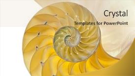  Presentation with shell - Slides enhanced with fibonacci - detailed photo of a halved background and a lemonade colored foreground