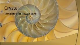  Presentation with fibonacci - PPT layouts enhanced with fibonacci - detailed photo of a halved background and a coral colored foreground