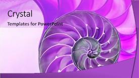  Presentation with fibonacci - Amazing presentation theme having fibonacci - detailed photo of a halved backdrop and a lilac colored foreground