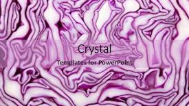  Presentation with fibonacci - Cool new presentation with fibonacci - red cabbage texture isolated backdrop and a lilac colored foreground