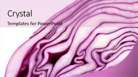  Presentation with fibonacci - PPT layouts consisting of fibonacci - red cabbage texture isolated background and a lemonade colored foreground