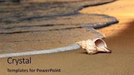  Presentation with fibonacci - Beautiful PPT theme featuring fibonacci - seashell on the summer beach backdrop and a coral colored foreground