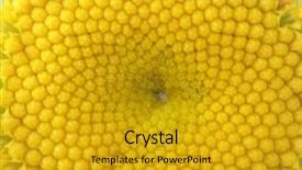  Presentation with fibonacci - Colorful presentation theme enhanced with fibonacci pattern of the core backdrop and a gold colored foreground