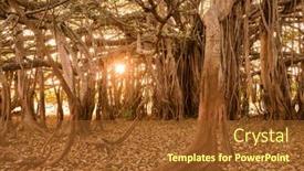  Presentation with banyan tree - Audience pleasing presentation design consisting of ficus-benghalensis-or-indian-banyan backdrop and a tawny brown colored foreground