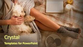  Presentation with sweet - Amazing slide set having fidelity - woman with cute dog maltese backdrop and a tawny brown colored foreground