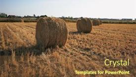  Presentation with harvest - Cool new presentation with field-after-harvest-rick-gathered backdrop and a tawny brown colored foreground