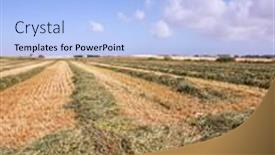  Presentation with light blue - PPT layouts enhanced with field-after-spring-harvest background and a light blue colored foreground