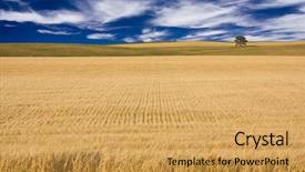  Presentation with field - Slides enhanced with field and sky background and a yellow colored foreground