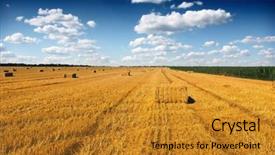  Presentation with agricultural - Cool new theme with field at after harvest agricultural concept backdrop and a gold colored foreground