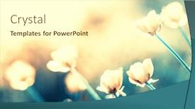  Presentation with vintage floral - Amazing slide deck having field-flower-in-nature backdrop and a white colored foreground