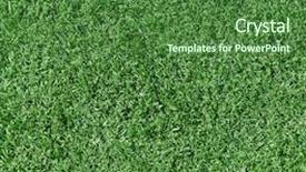  Presentation with grass texture on green - Slide set having field golf - grass is green small close-up background and a forest green colored foreground