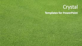  Presentation with perfect - Cool new presentation with field golf - perfect green grass backdrop and a seafoam green colored foreground