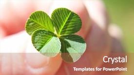  Presentation with four leaf clover - Slide set enhanced with field good for luck background and a red colored foreground
