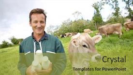  Presentation with two plastic bottles milk - Colorful slide set enhanced with field holding bottles of milk backdrop and a yellow colored foreground