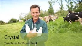  Presentation with milk - Cool new PPT layouts with field holding bottles of milk backdrop and a yellow colored foreground