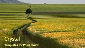  Presentation with field - Cool new slides with field in spring dobrogea romania backdrop and a tawny brown colored foreground