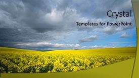  Presentation with rapeseed - Colorful slides enhanced with field in spring with cloudy backdrop and a light blue colored foreground