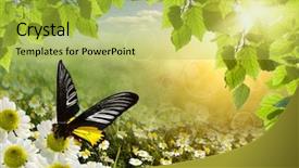  Presentation with abstract medical - Cool new slide set with field meadow daisies backdrop and a yellow colored foreground