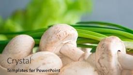  Presentation with mushrooms - Audience pleasing slide deck consisting of field-mushrooms-with-green-onions backdrop and a soft green colored foreground