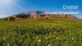  Presentation with sun desert - PPT layouts having field-of-blooming-daisies background and a teal colored foreground