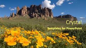  Presentation with poppies - Presentation theme featuring field-of-blooming-mexican-poppies background and a tawny brown colored foreground