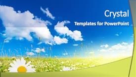 Presentation with perfect - PPT theme featuring field of daisies and perfect background and a cobalt blue colored foreground