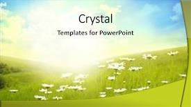  Presentation with sun rays on blue sky - Slides consisting of field of daisies blue sky background and a cream colored foreground