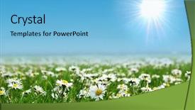  Presentation with sky sun - Theme featuring field of daisies with bright background and a  colored foreground