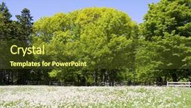  Presentation with seed - Presentation with field-of-dandelions-gone background and a tawny brown colored foreground