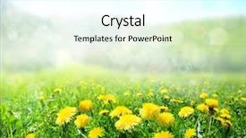 Presentation with love of nature - Theme consisting of field of dandelions nature background background and a cool aqua colored foreground