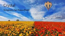  Presentation with lilac flowers bunch over wood - Colorful PPT theme enhanced with field of flowering blooming red backdrop and a teal colored foreground