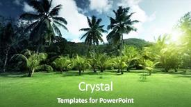  Presentation with coconut - Slide deck enhanced with field of grass and coconut background and a tawny brown colored foreground