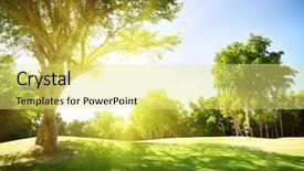  Presentation with tree sky trees green - PPT theme consisting of light morning - field of grass and trees background and a yellow colored foreground