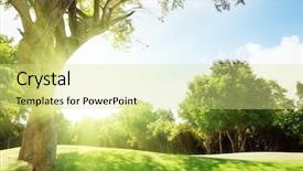  Presentation with tree sky trees green - PPT theme with little girl with two toothbrushes on white background background and a gray colored foreground