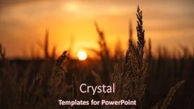  Presentation with grass - Theme enhanced with field-of-grass-during-sunset and a  colored foreground