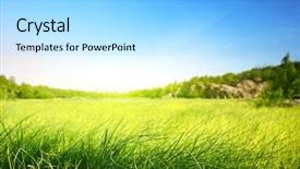  Presentation with grass - PPT theme consisting of field of grass in north background and a arctic colored foreground