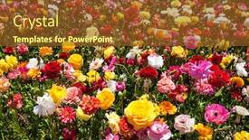  Presentation with botanical - Slide deck featuring field-of-luxurious-large-spring background and a tawny brown colored foreground