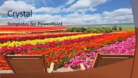  Presentation with multi sports kids - Presentation enhanced with field of multi-colored decorative background and a light blue colored foreground