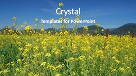  Presentation with napa - Beautiful presentation theme featuring napa valley california - brassica backdrop and a teal colored foreground