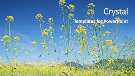  Presentation with napa - Audience pleasing slide set consisting of napa valley california - brassica backdrop and a ocean colored foreground