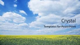  Presentation with sky blue - Slide set consisting of field of rape seed plants background and a light blue colored foreground