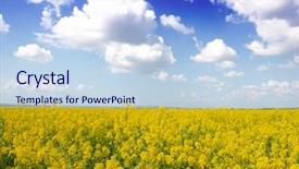  Presentation with green energy - PPT layouts with field-of-rapeseed-with-beautiful background and a sky blue colored foreground
