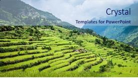  Presentation with nepal - PPT theme consisting of field of rice in nepal background and a light blue colored foreground